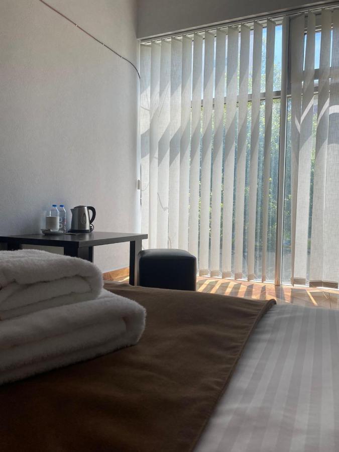 Hotel Saburtalo Roni 第比利斯 外观 照片